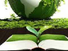 中小型化工企业该如何生存